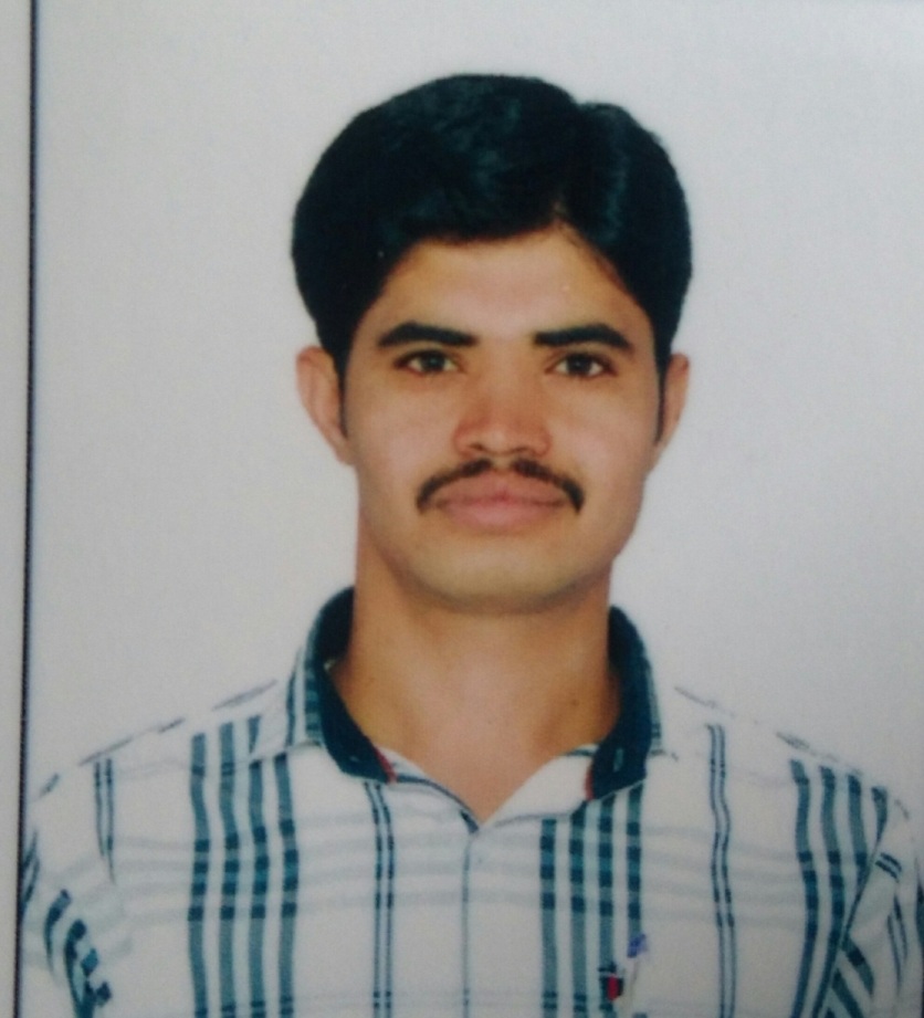 Mr. N. Ravi Naik